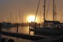 Misty morning in Opua: Love this picture Russ took early one morning